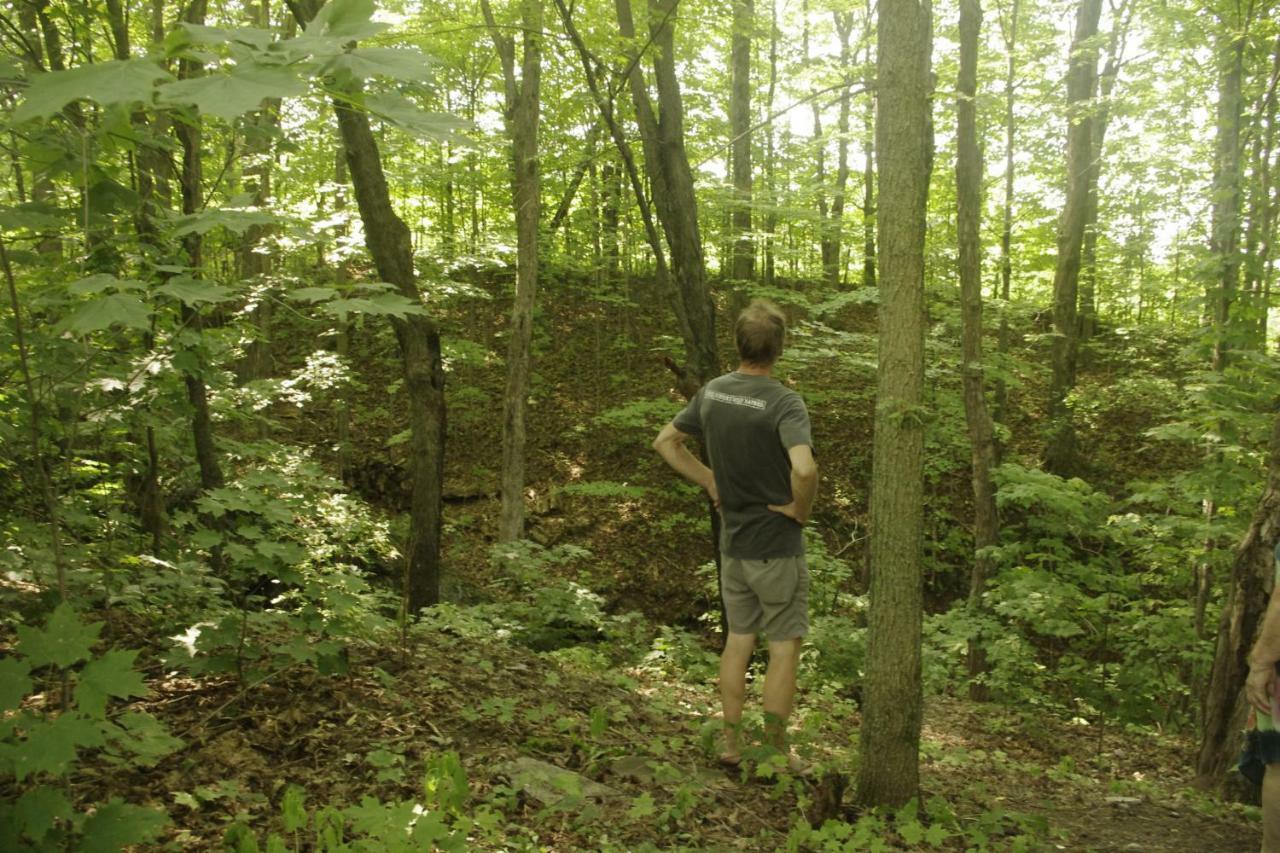 Gite Au Pied Des Appalaches Sainte-Sophie-D'Halifax Ngoại thất bức ảnh
