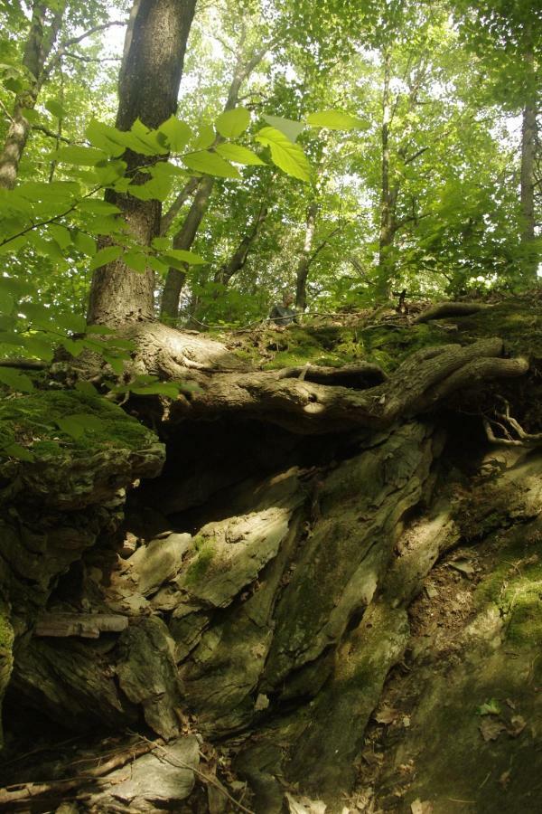 Gite Au Pied Des Appalaches Sainte-Sophie-D'Halifax Ngoại thất bức ảnh